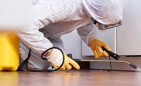 Best Termite Inspection and Treatment  in Willow Park, TX